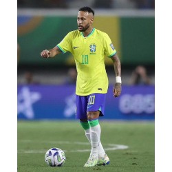Moeilijkheden waarmee het Braziliaanse nationale team wordt geconfronteerd en hoop voor de toekomst